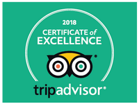 club de plongée Hyères, St Tropez et Port Grimaud - Tripadvisor
